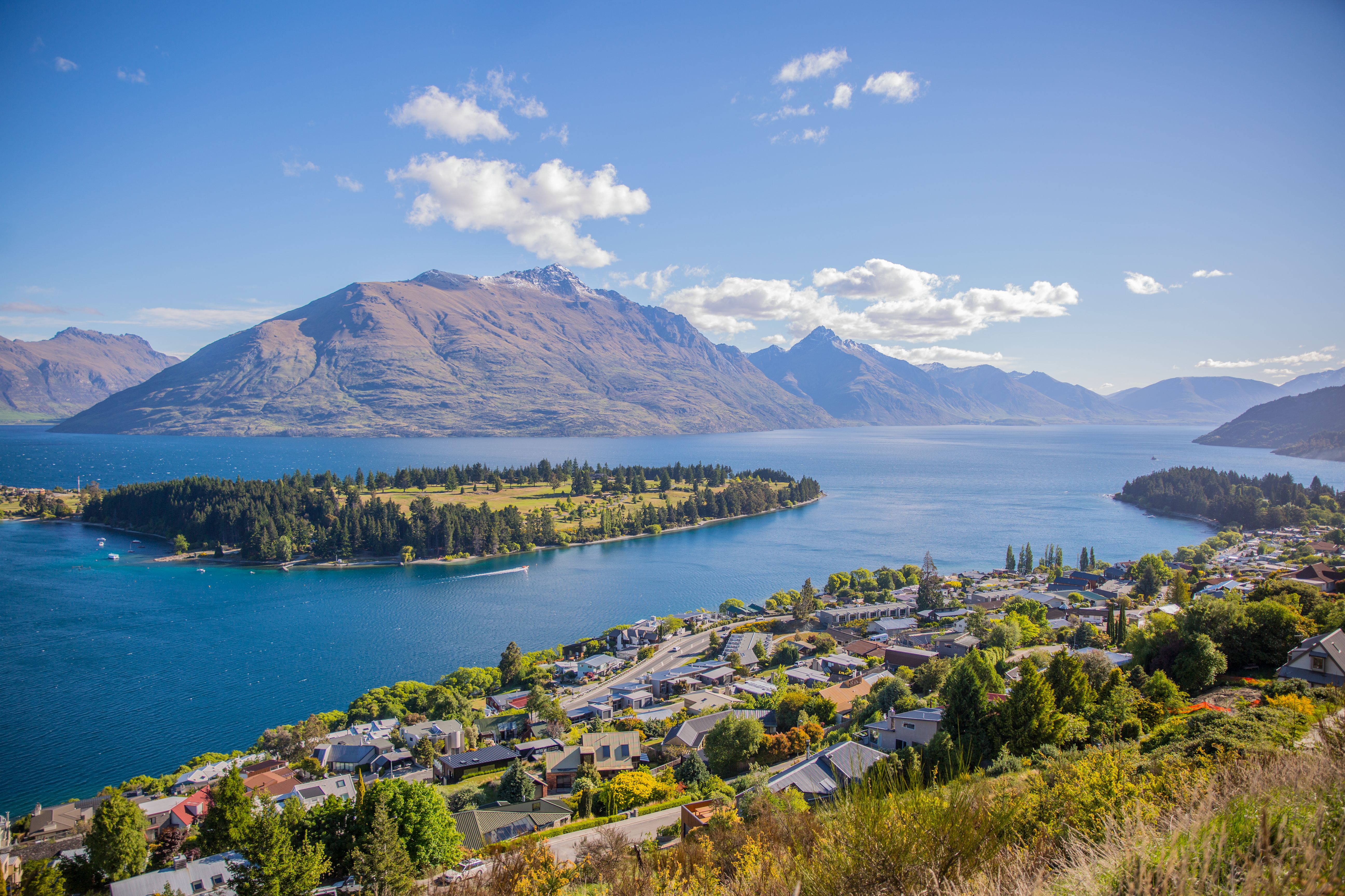 New Zealand Education