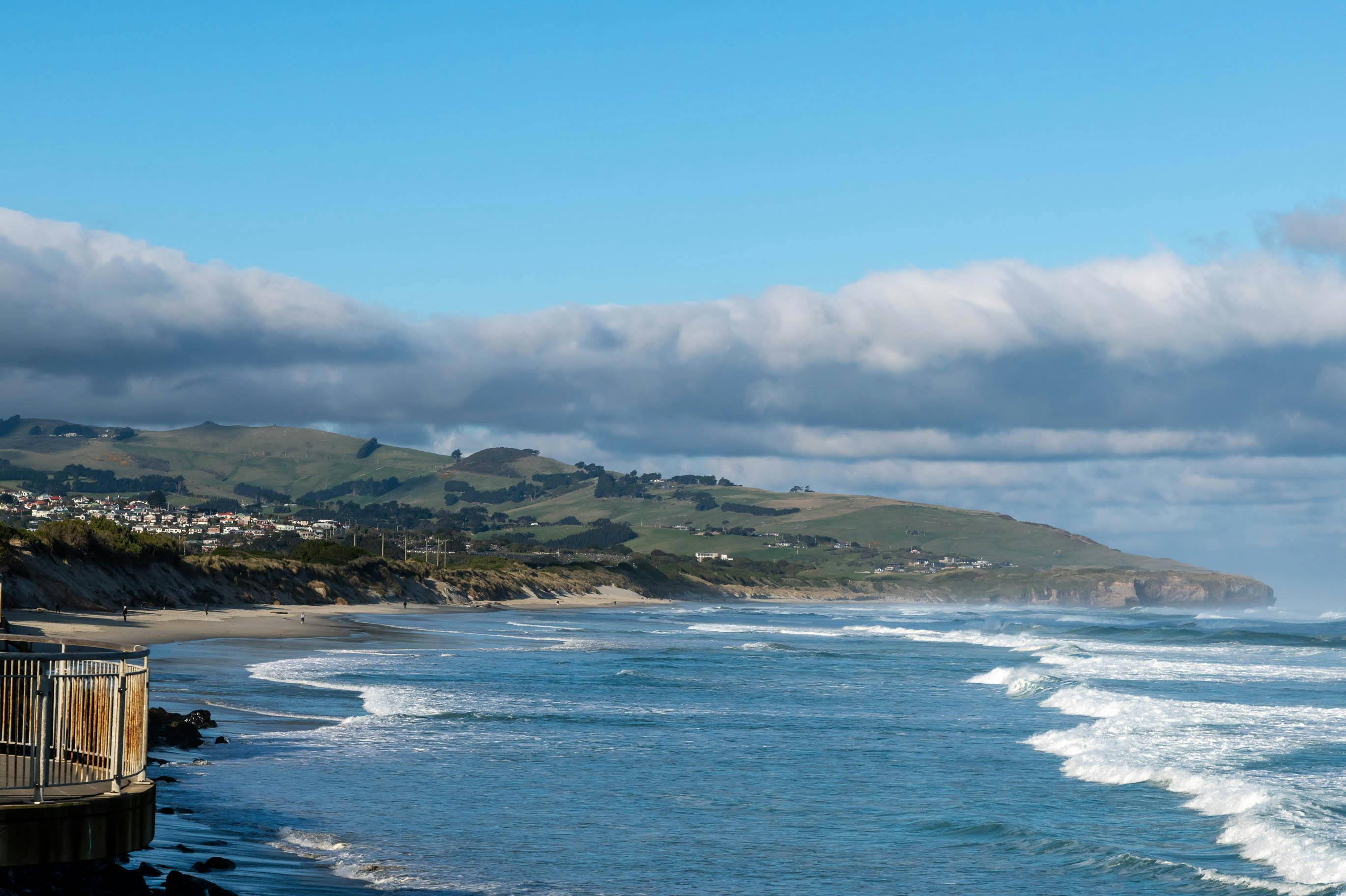 Dunedin