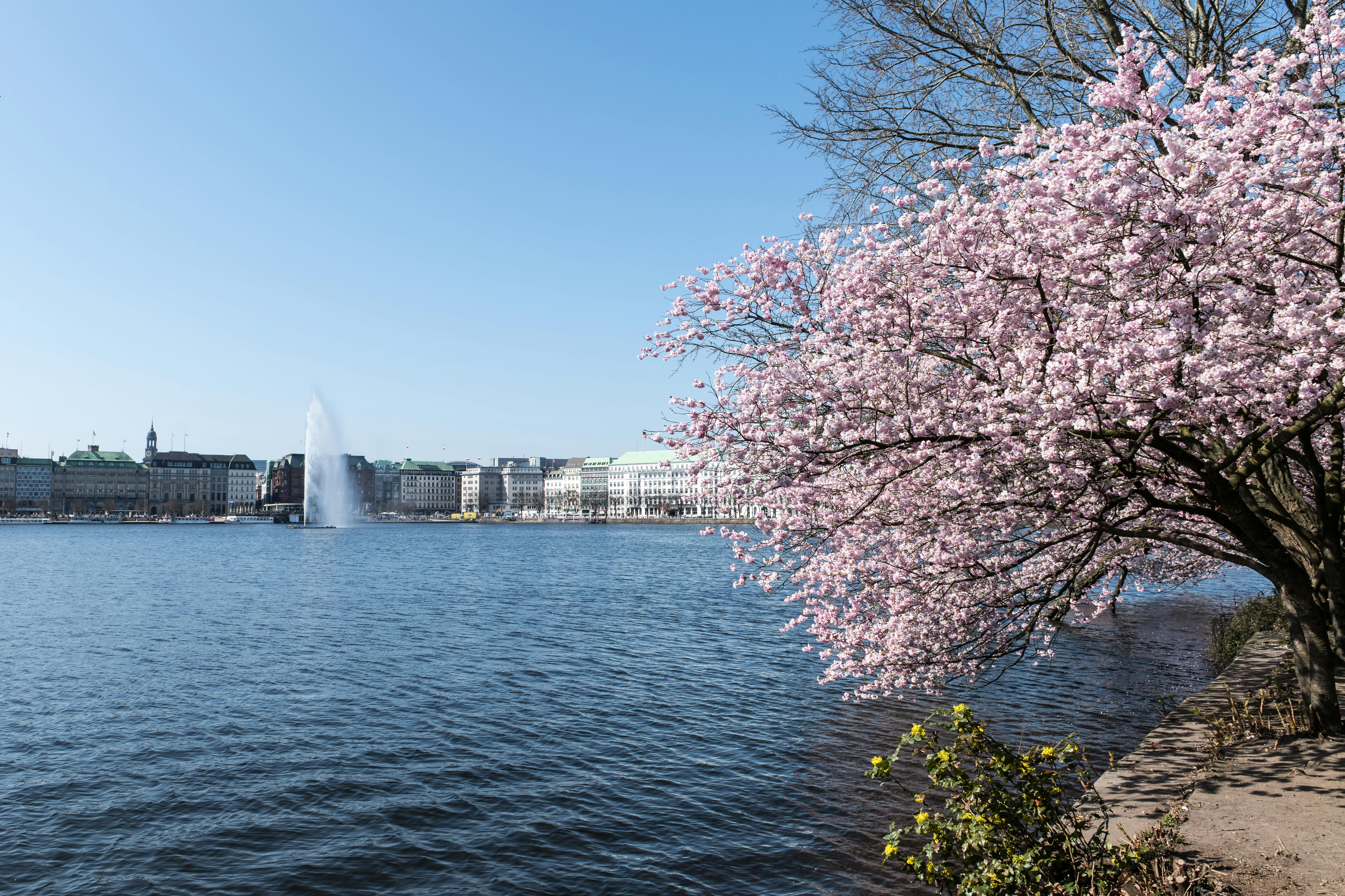 Hamburg